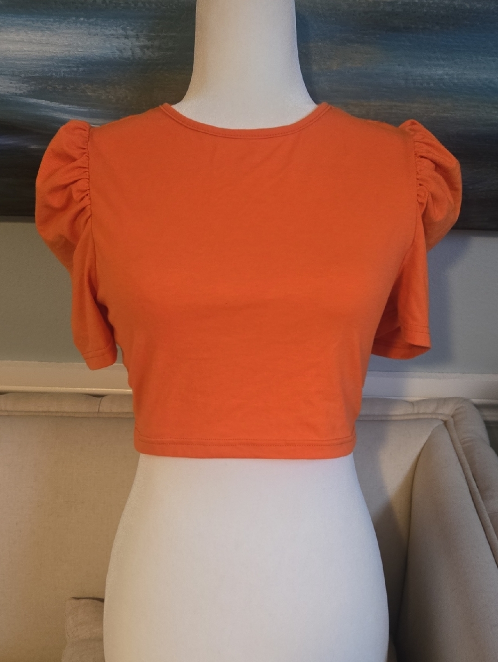 princess sleeve crop top